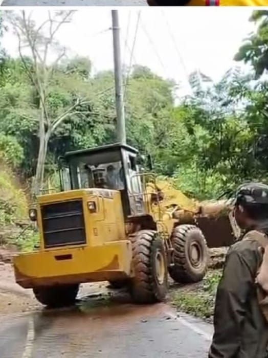 Kerahkan Dua Alat Berat, PU Kabupaten Sukabumi dan PT GMB serta PT Golden Evakuasi Tanah Longsor di Jalan Bagbagan-Kiaradua